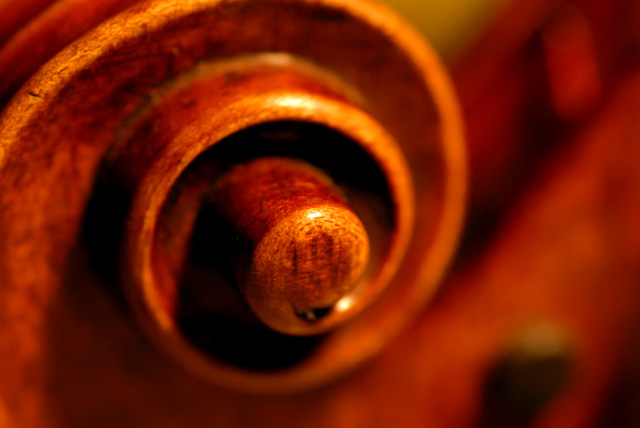 d0032782_2311842.jpg