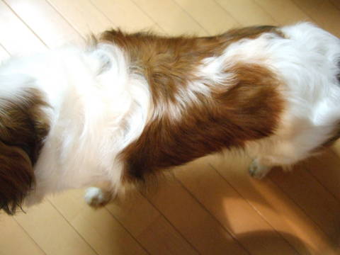 c0075585_013111.jpg