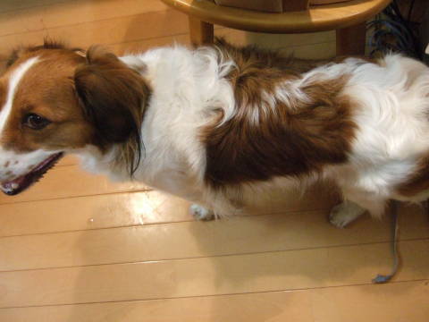 c0075585_0144139.jpg
