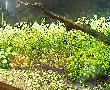 d0064591_010520.jpg