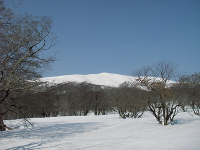 a0043193_88127.jpg
