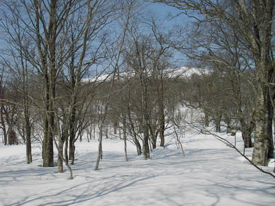 a0043193_88137.jpg