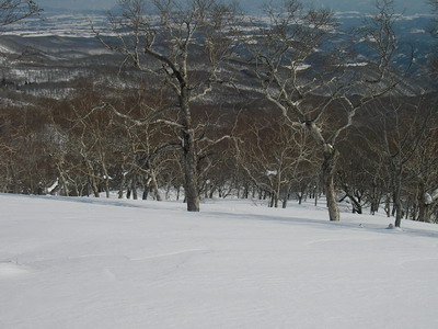 a0043193_882293.jpg