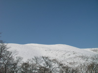 a0043193_885392.jpg