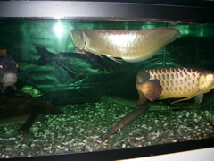 a0061594_2044271.jpg