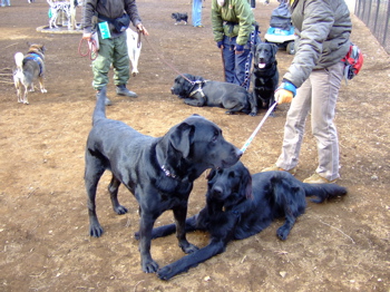 f0001698_22532968.jpg
