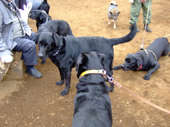 f0001698_2315790.jpg