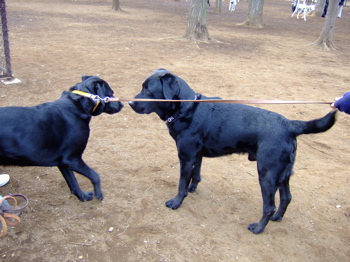 f0001698_231732100.jpg