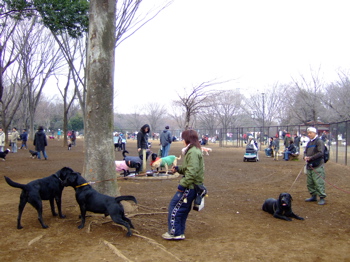 f0001698_23201814.jpg