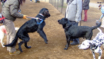 f0001698_23826100.jpg