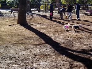 e0066099_15281184.jpg