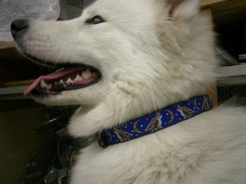 f0025103_1510258.jpg