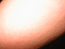 f0074904_1547745.jpg