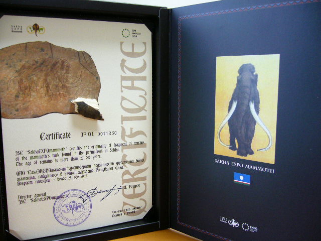 e0015108_216710.jpg
