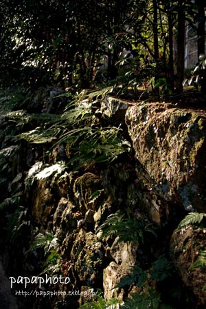 f0041908_17173992.jpg