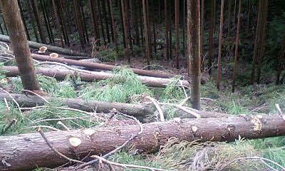 b0051713_21403037.jpg