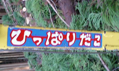 b0051713_21512496.jpg