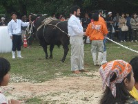 c0000816_014584.jpg