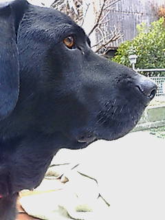 e0026017_23452253.jpg