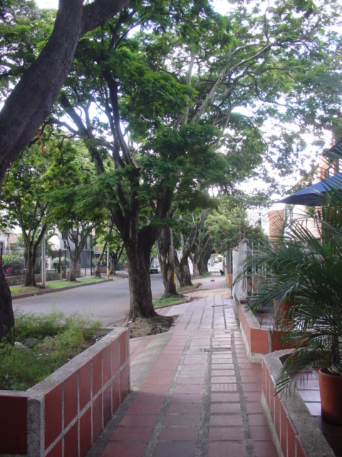 c0071839_0231826.jpg