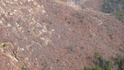 e0020945_824397.jpg