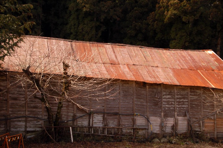 e0009147_2145193.jpg