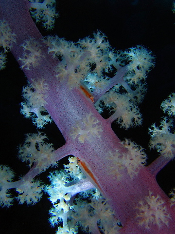 d0021952_22141173.jpg