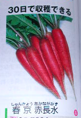 e0004756_20314678.jpg