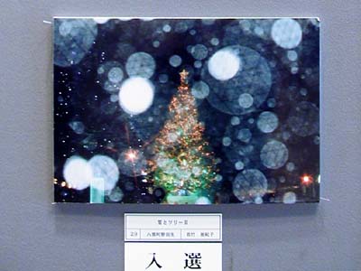 d0037566_13291437.jpg