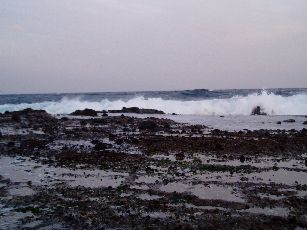 c0025471_17292669.jpg