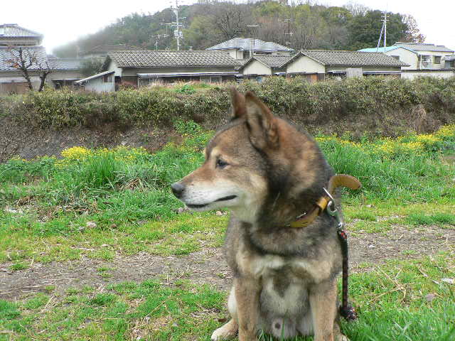 d0061286_0462938.jpg