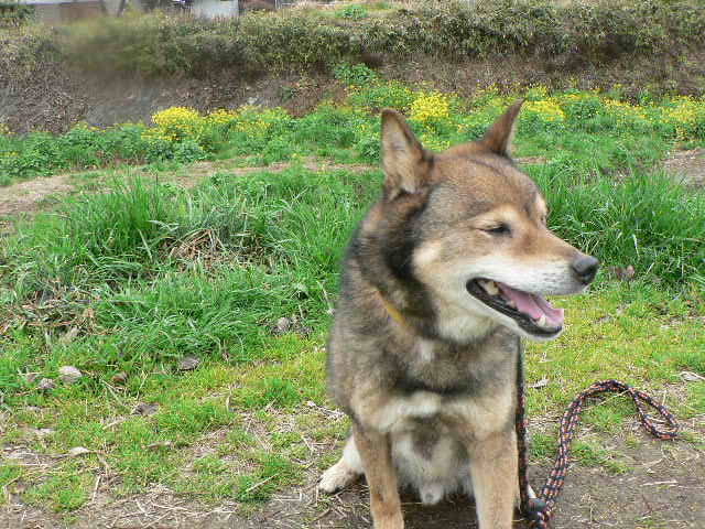 d0061286_0464189.jpg