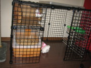 c0004211_0283655.jpg