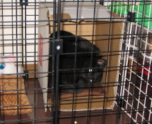 c0004211_13174142.jpg