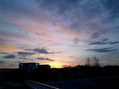 e0038811_84398.jpg