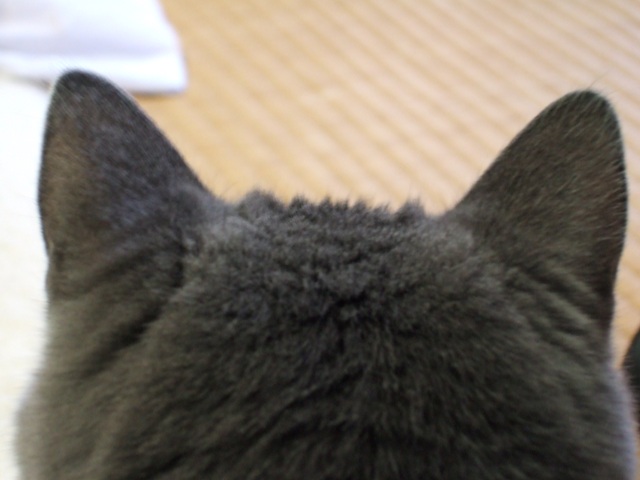 f0032020_13171810.jpg