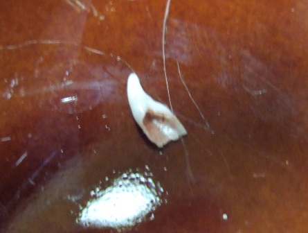 f0032020_132332100.jpg