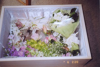 f0037623_1839112.jpg