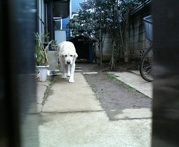 a0040736_19523330.jpg