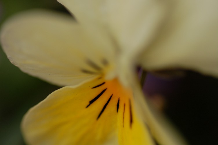 e0009147_20402298.jpg