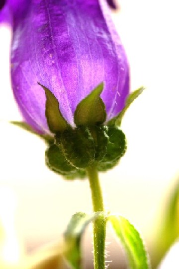 e0009147_20543460.jpg