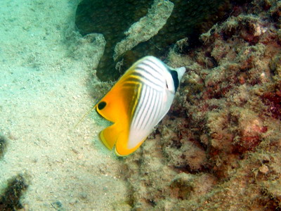 a0002177_21275796.jpg