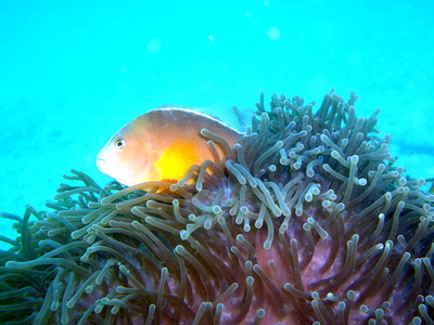 a0002177_21324069.jpg