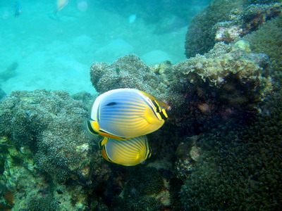 a0002177_21335724.jpg