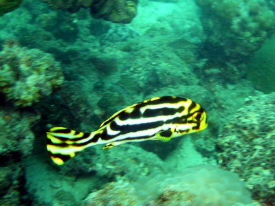 a0002177_222789.jpg