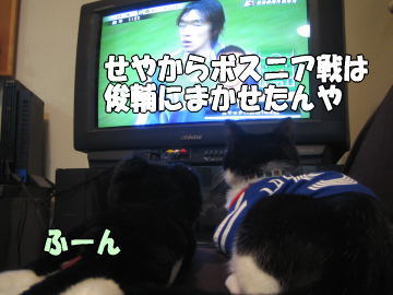 b0041182_23341025.jpg