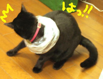 f0004182_1303669.jpg