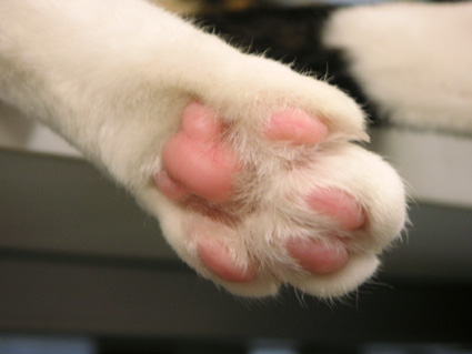 e0019594_12444455.jpg