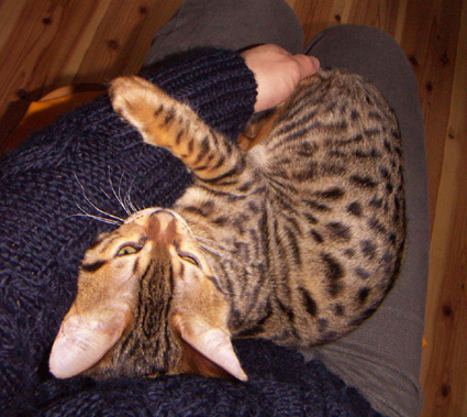 c0011300_858973.jpg