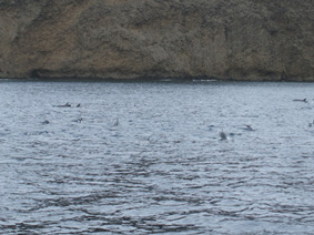 f0048405_933425.jpg